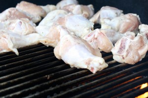 chicken marinade, chicken on the grill, paleo, AIP, gluten free, dairy free, sugar free, soy free, grain free