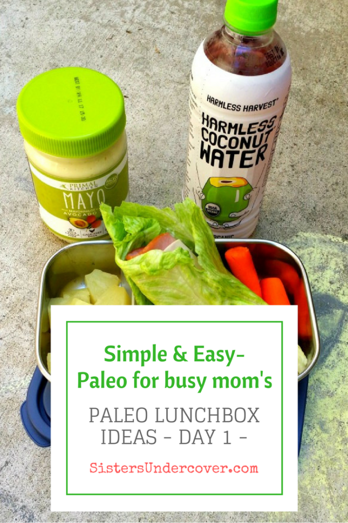 Paleo Lunch Ideas for kids headed back to school