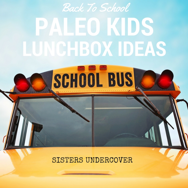Paleo Kids Lunchbox SM