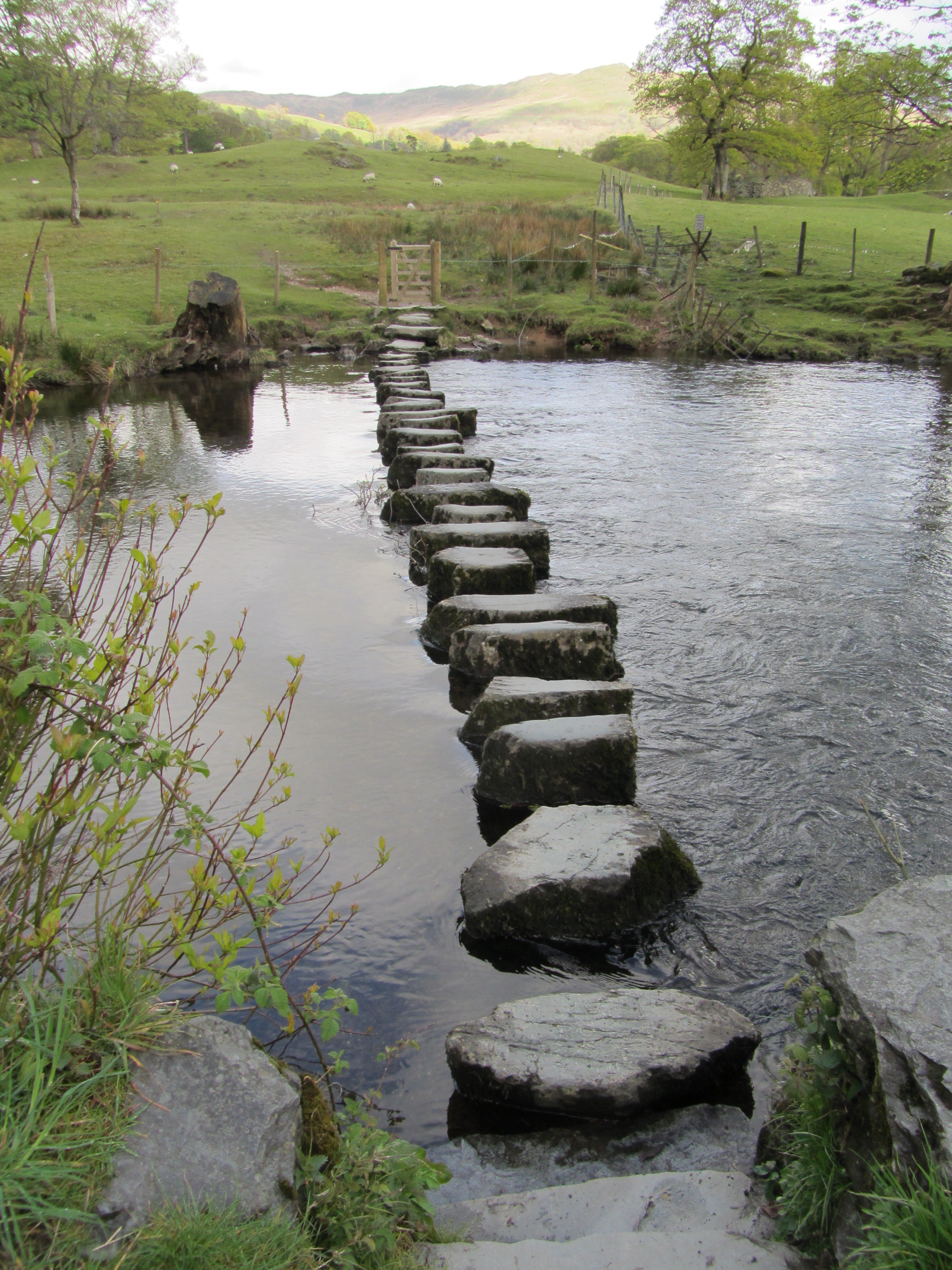 Photo Credit: River Rothary