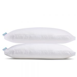 pillow of health, sisters undercover, dust mite resistant, customizable, washable, hypoallergenic, 