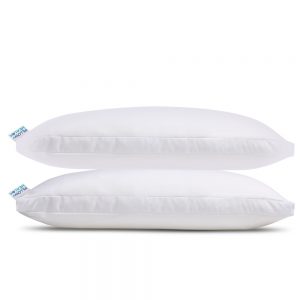 pillow of health, sisters undercover, dust mite resistant, customizable, washable, hypoallergenic, 