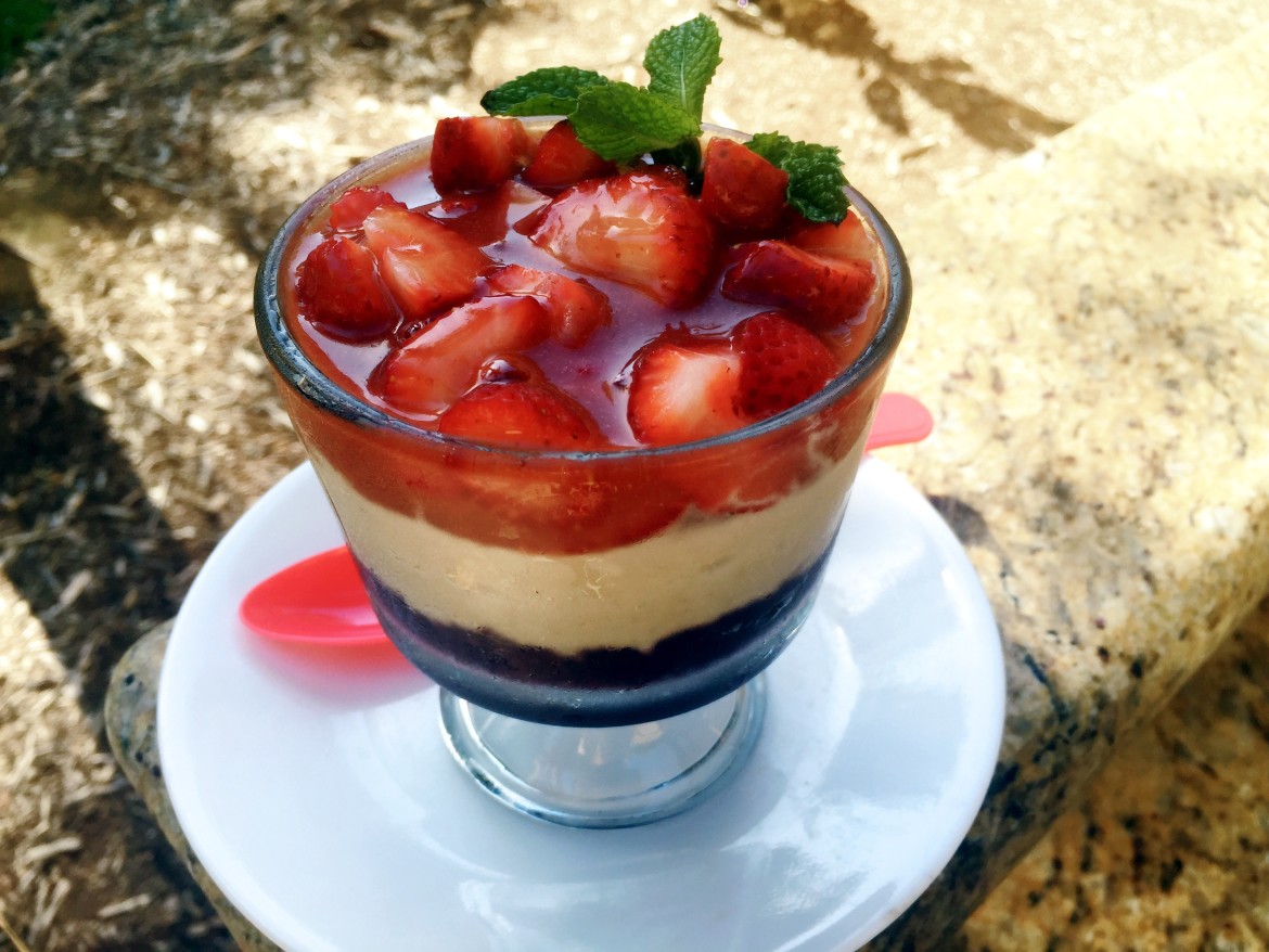 strawberry sauce, blueberry sorbet, vanilla ice cream, dairy free, gluten free, refined sugar free,