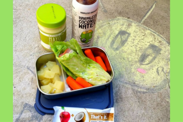 Paleo Lunchbox ideas to help mom