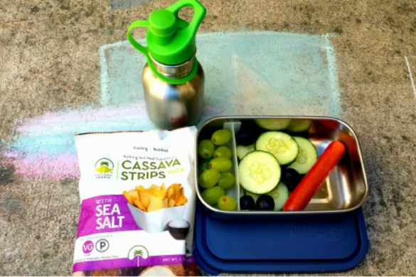 Paleo Lunch Ideas for moms on the go and still want Paleo lunches